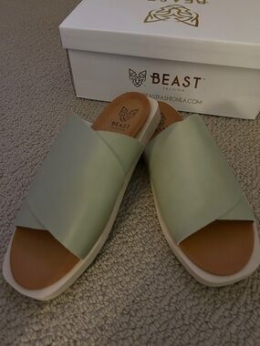NIB Beast Fashion Sage Green Criss-Cross Slide Sandals
Size 8.5